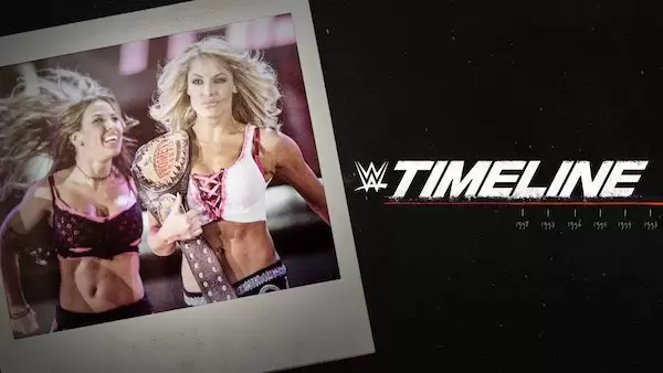 Watch Wrestling WWE Timeline S01E07: Do you love me now?
