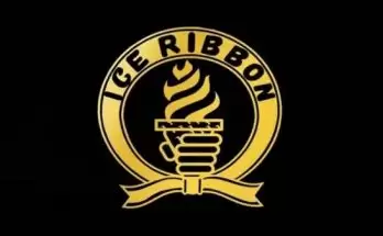 Watch Wrestling Ice Ribbon New Ice Ribbon Yokohama Ribbon 2021 1/9/21