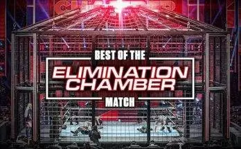 Watch Wrestling WWE Best of The WWE E67: Best Of Elimination Chamber Match