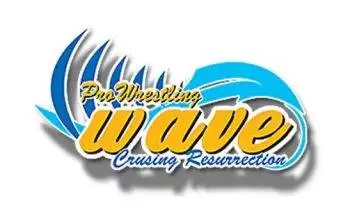 Watch Wrestling WAVE NAMI 1 Have A Nice WAVE 1/1/22